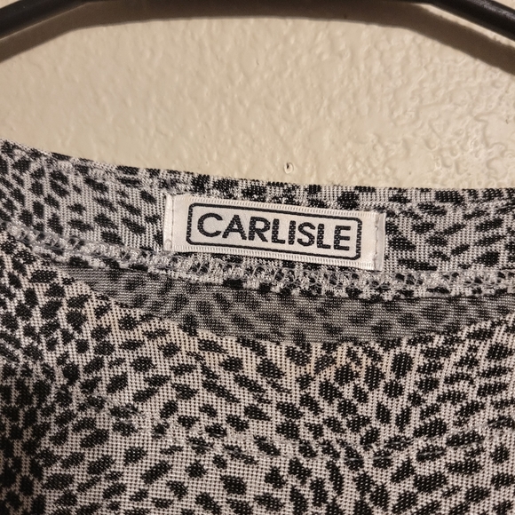 Carlisle Cheetah Print Long Sleeve Top - Picture 3 of 6